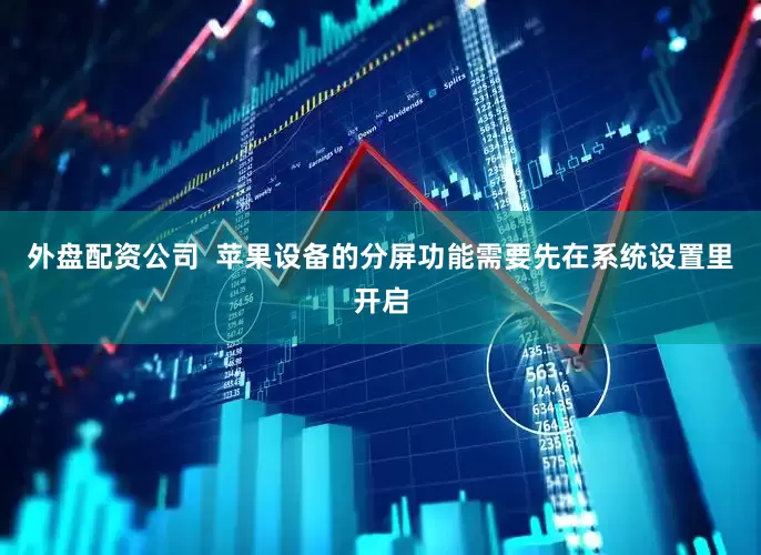 外盘配资公司  苹果设备的分屏功能需要先在系统设置里开启